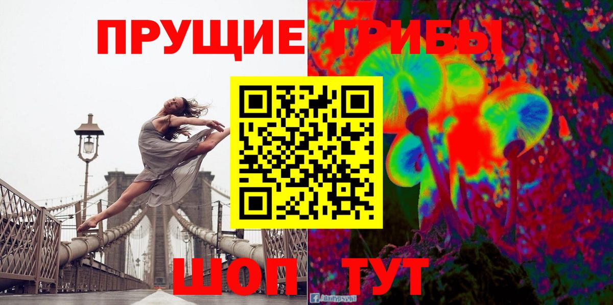 Галлюциногенные грибы GOLDEN TEACHER  Псилоцибиновые грибы GOLDEN TEACHER  Вход с VPN  Мценск 