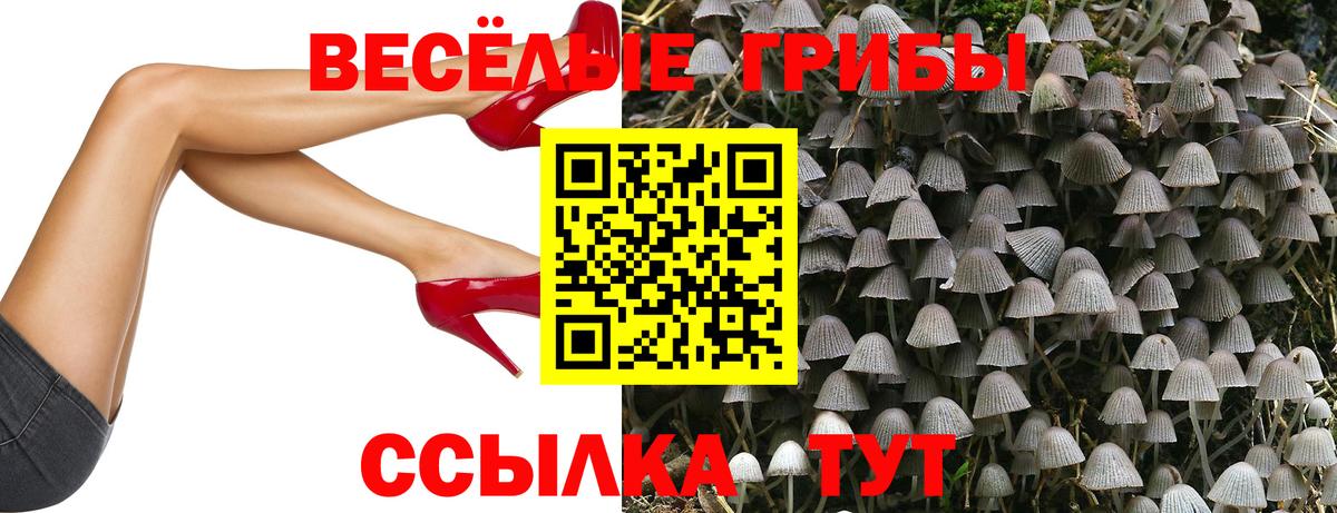 Псилоцибиновые грибы ЛСД Мценск
